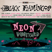 Black Flamingos: Neon Boneyard