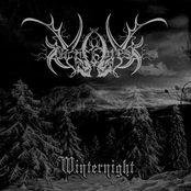 Winternight Winter Edition