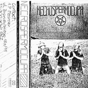 Necrospermocupa