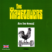 Mayflowers: Are You Green?