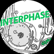 Interphase