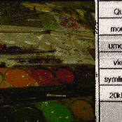 birds just wanna have fun fun fun