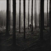 Metamorphosis - Single