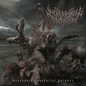 Carved Inherent Delusion by Unfathomable Ruination