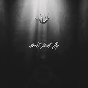 Don't Just Fly