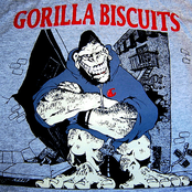 A Puzzle Of 38 Pieces