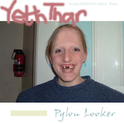 pylon looker --- sws003