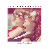 Hunk Of Heaven by The Spandettes