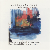 Dabbling With Gravity and Who You Are