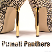 Outlines by Pumali Panthers