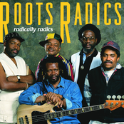 Love Thicker Than Blood by Roots Radics