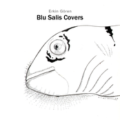 Blu Salis Covers