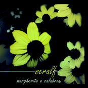 Margherite E Calabroni
