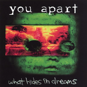 What Hides In Dreams