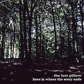 the lost pillow