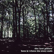 The Lost Pillow