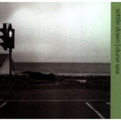 Settle Down/Dune Sea