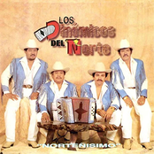 Nortenisimo