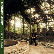 Rock To Sleep by Horace Andy