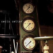 cellz cellar