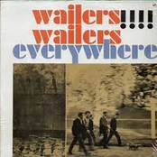 wailers wailers everywhere / out of our tree