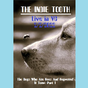 Indie Twooth?: Live In VC 2/2/22