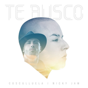 Cosculluela: Te Busco