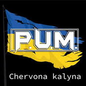 Chervona kalyna