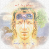 missing pieces