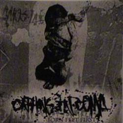 2005 - Born Feet First (Demo)