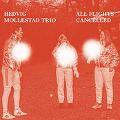 All Flights Cancelled