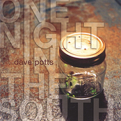 One Night In The South by Dave Potts