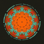 Hypersonic Super-Asterid (Tom Sharkett Dub Mix)