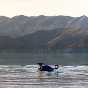 Walk Thru Water - Single