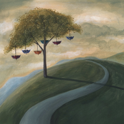 Dura Mater: Umbrella Tree