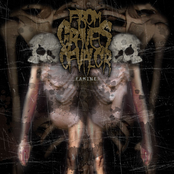 Famine by From Graves Of Valor