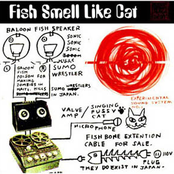 Fish Smell Like Cat