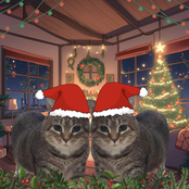 Oiiaoiia Cat (Christmas Version)