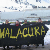 malacura