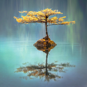 White Noise, Pink Noise & Brain Waves