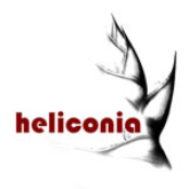 Heliconia