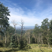 Heaven Was Built by Strangers