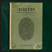 Líquens (Parceria com Fungi)