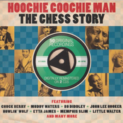 Hoochie Coochie Man: The Chess Story