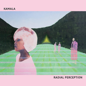 Radial Perception