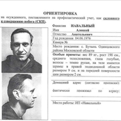 Death of Alexei Navalny