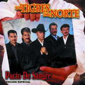 No Tiene La Culpa El Indio by Los Tigres Del Norte