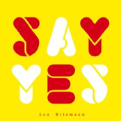 Say Yes