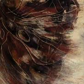 خطاب به پروانه ها و چرا من دیگر شاعر نیمایی نیستم