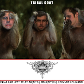 Świat cały jest tylko błękitną wklęsłością chińskiej filiżanki